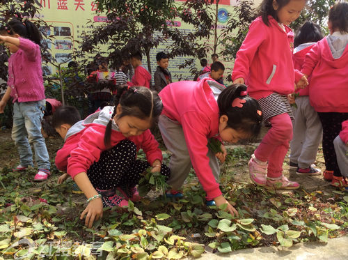 四川北川紅纓藍(lán)天幼兒園