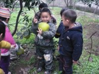 重慶璧山縣青杠鎮(zhèn)海爾幼兒園 秋季采摘活動